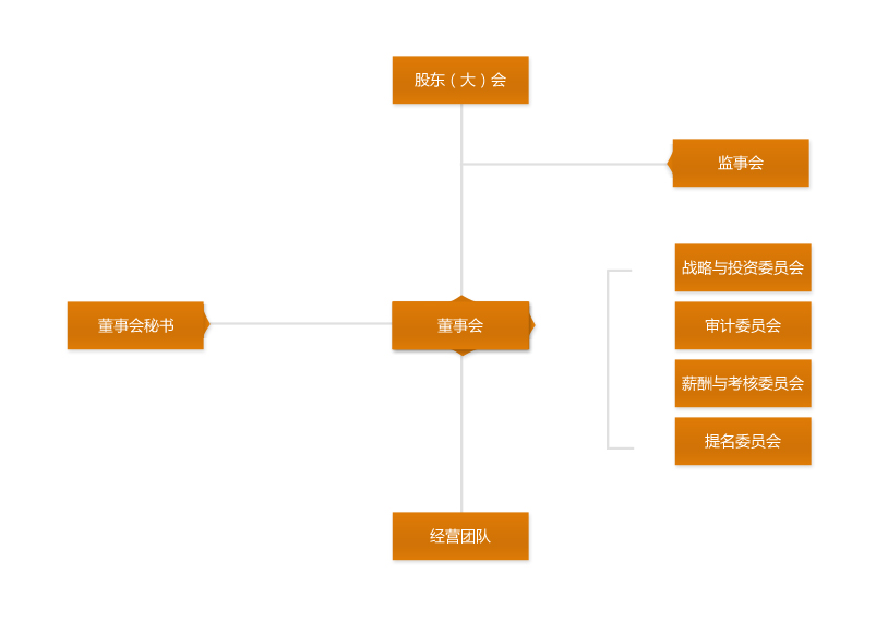 【有限责任公司,董事会工作报告,完善法人治理结构】